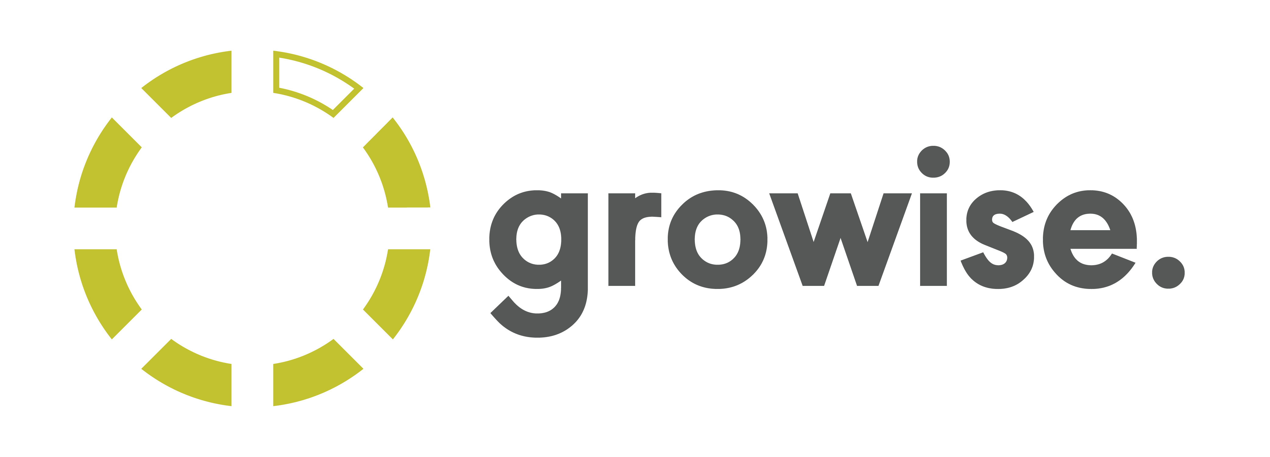 Growise Chartered Accountants